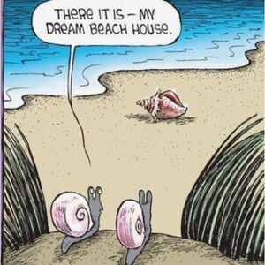 Summer Women shorts dresses tops